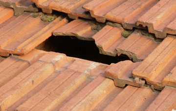 roof repair Weston Green